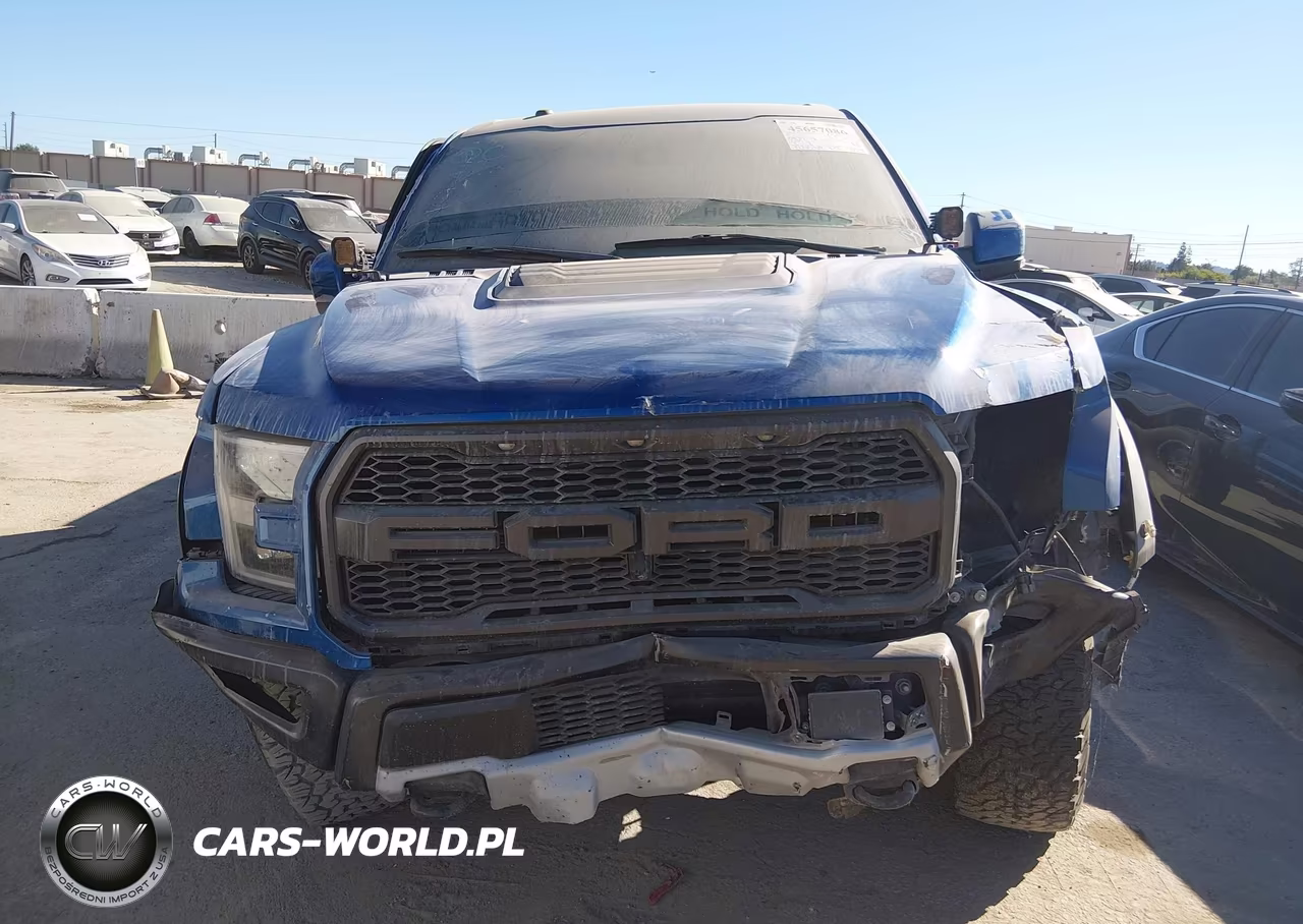 2018 Ford F-150 Raptor VIN:1FTFW1RG8JFD04223 - 16
