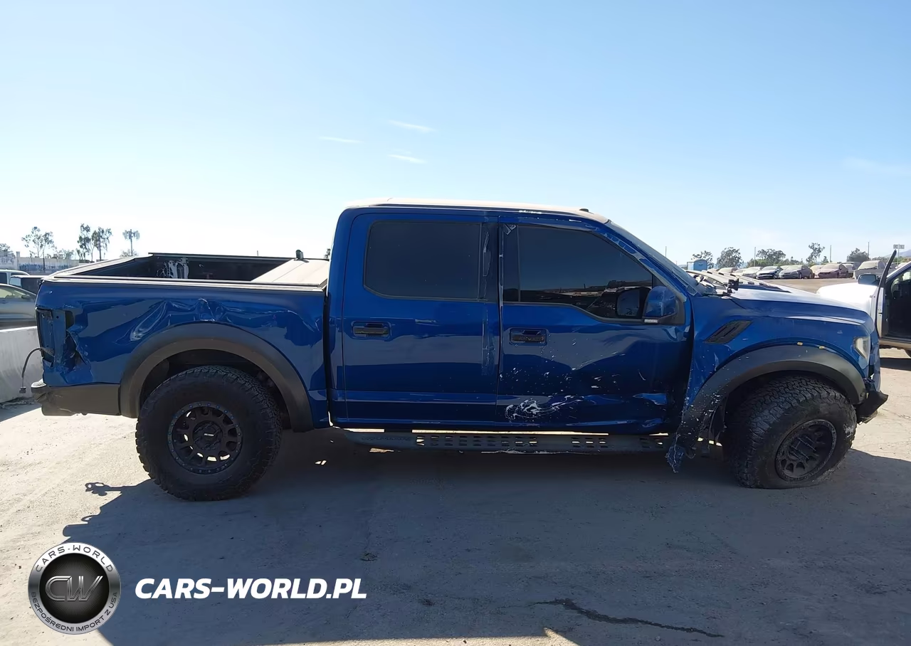 2018 Ford F-150 Raptor VIN:1FTFW1RG8JFD04223 - 17