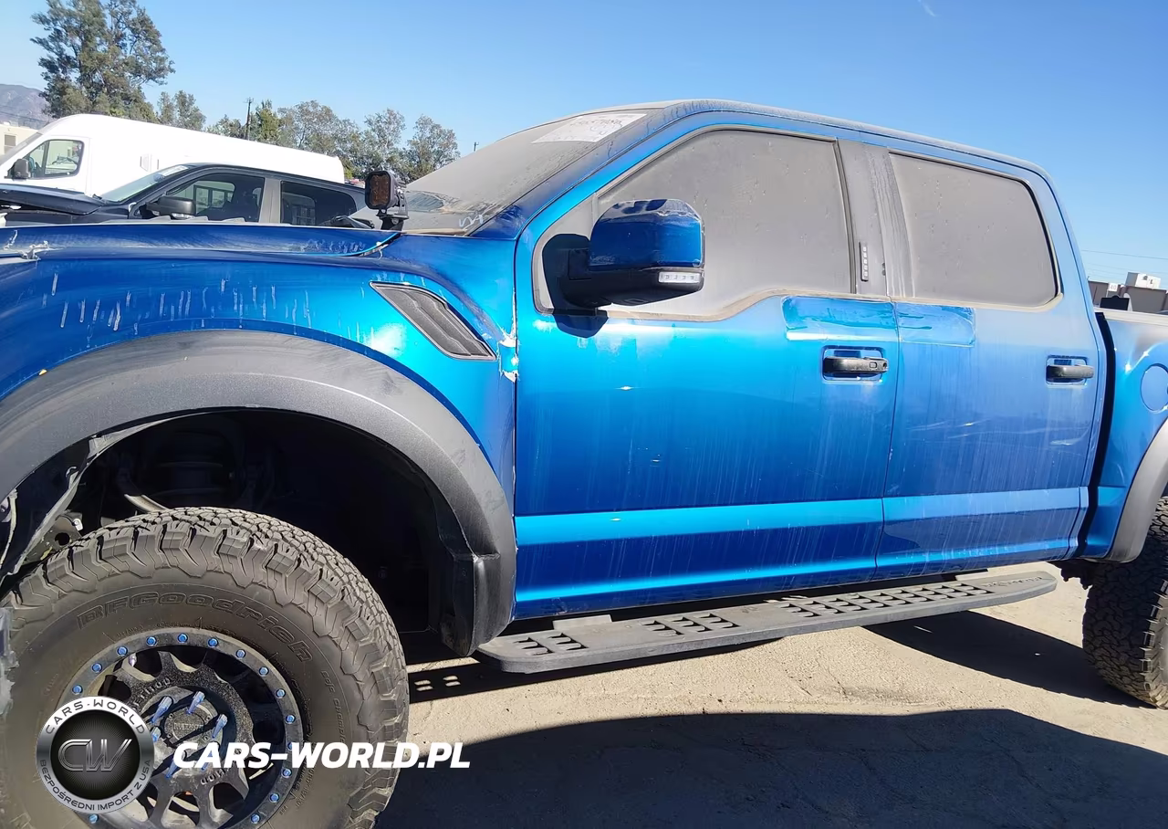 2018 Ford F-150 Raptor VIN:1FTFW1RG8JFD04223 - 18