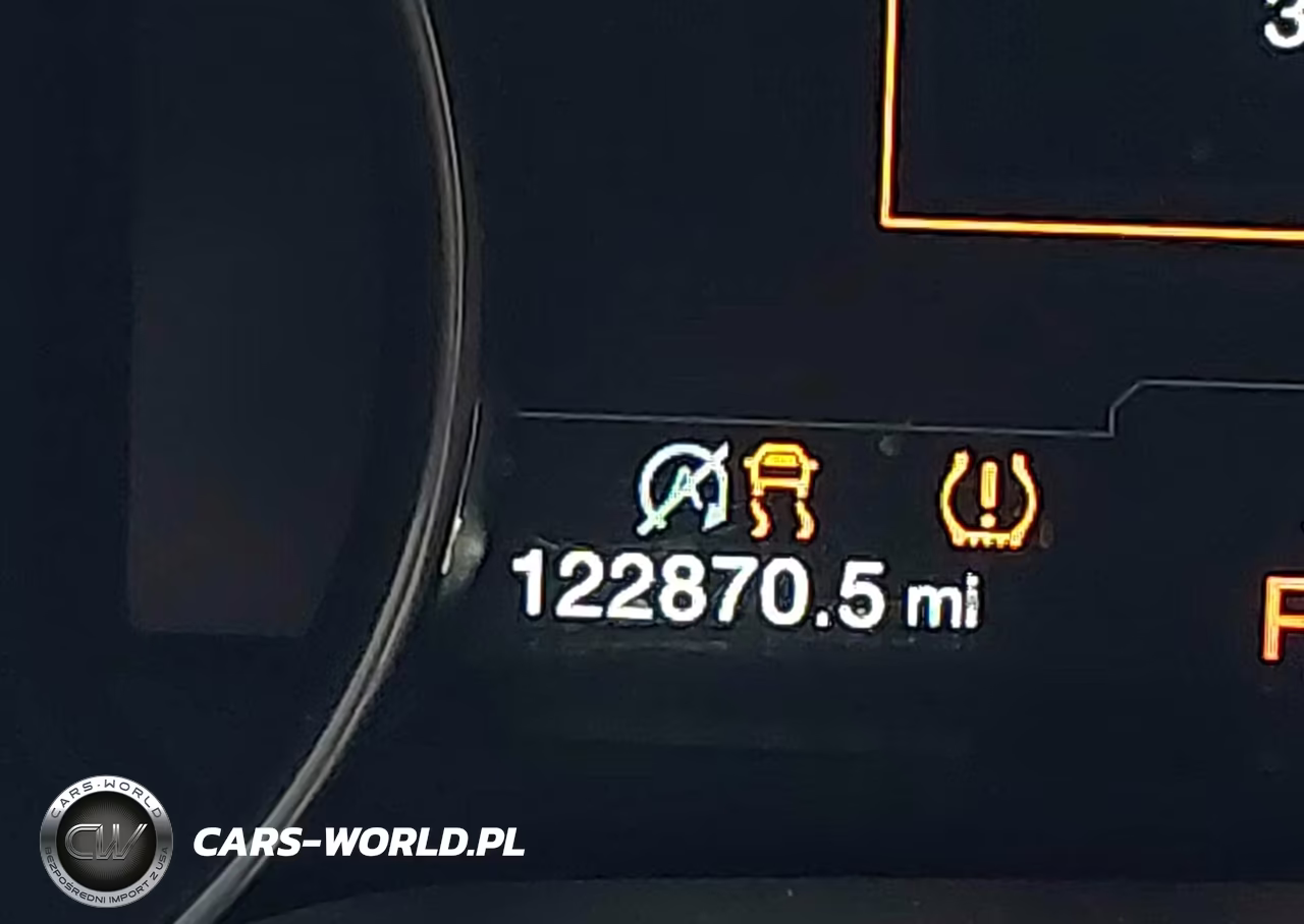 2018 Ford F-150 Raptor VIN:1FTFW1RG8JFD04223 - 19