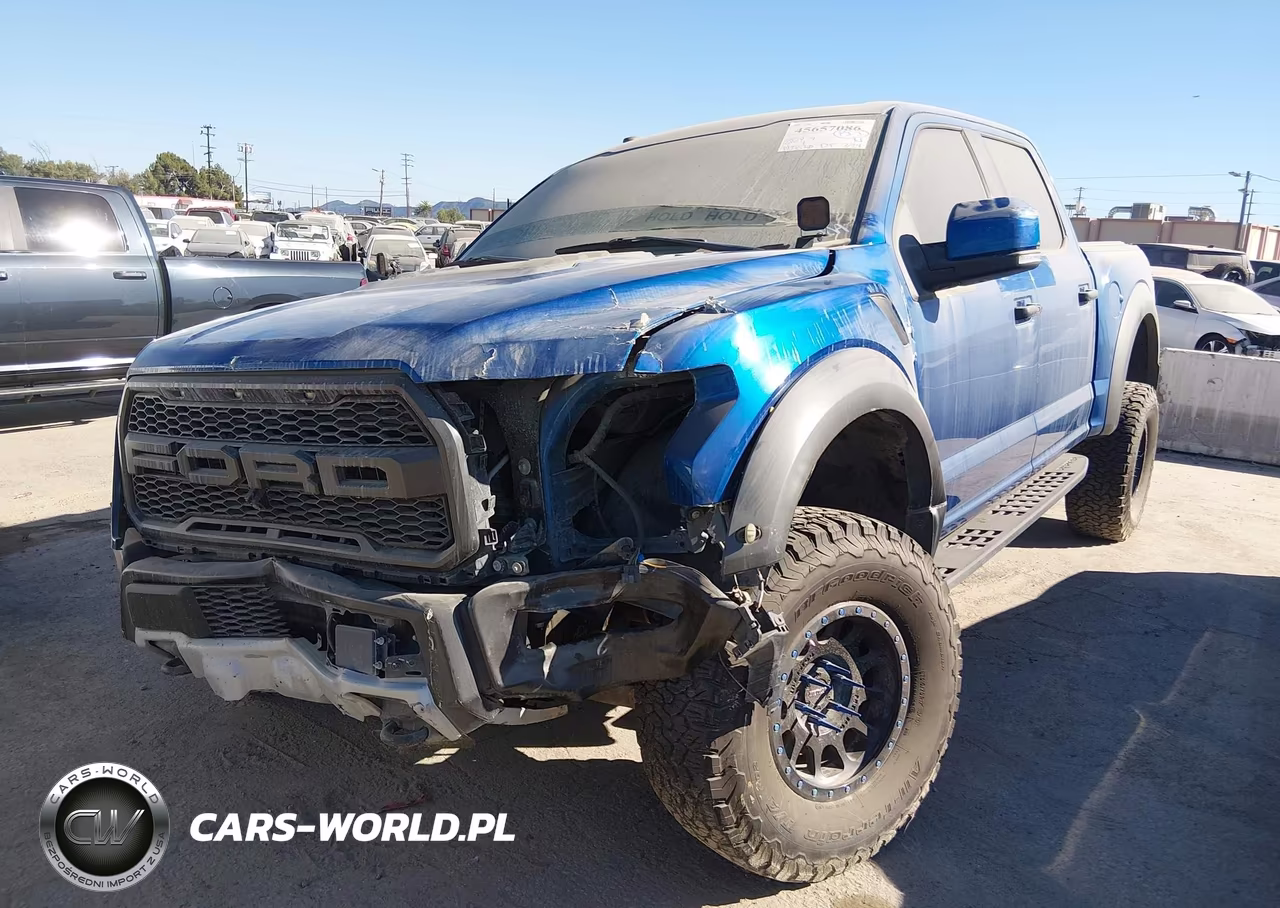 2018 Ford F-150 Raptor VIN:1FTFW1RG8JFD04223 - 2