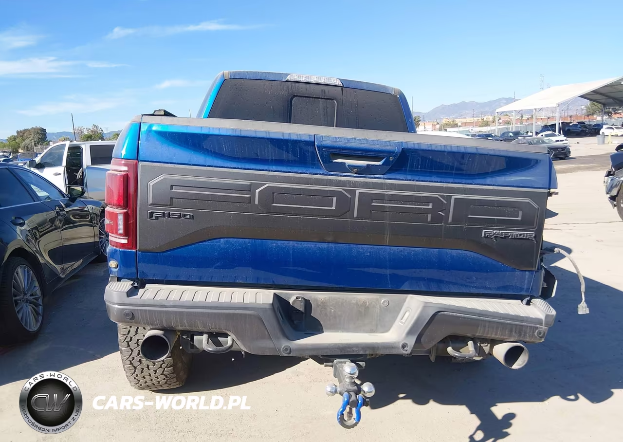 2018 Ford F-150 Raptor VIN:1FTFW1RG8JFD04223 - 20