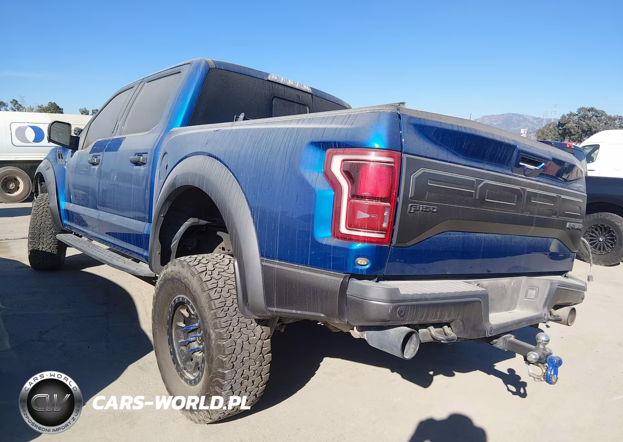 2018 Ford F-150 Raptor VIN:1FTFW1RG8JFD04223 - 3