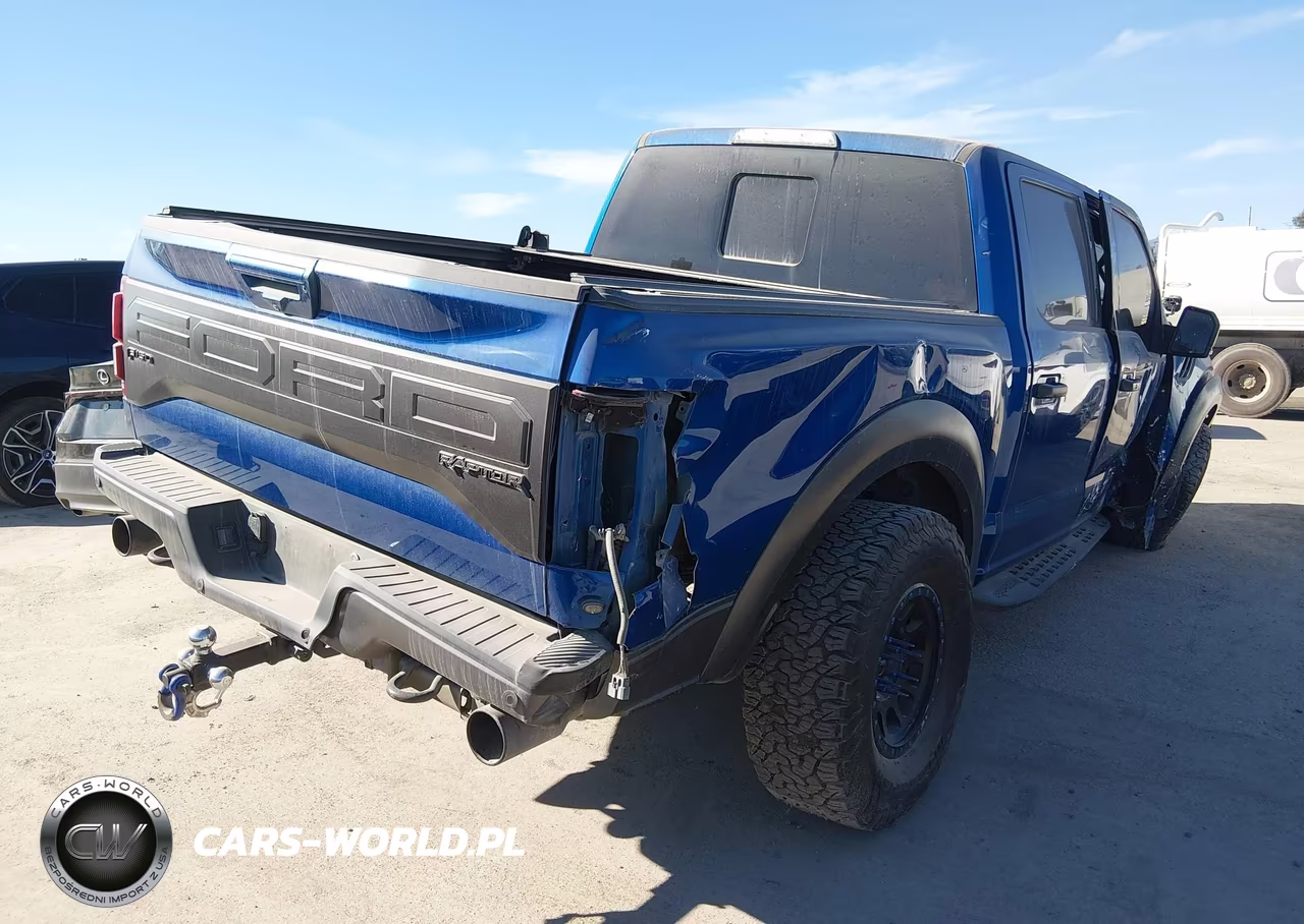 2018 Ford F-150 Raptor VIN:1FTFW1RG8JFD04223 - 4