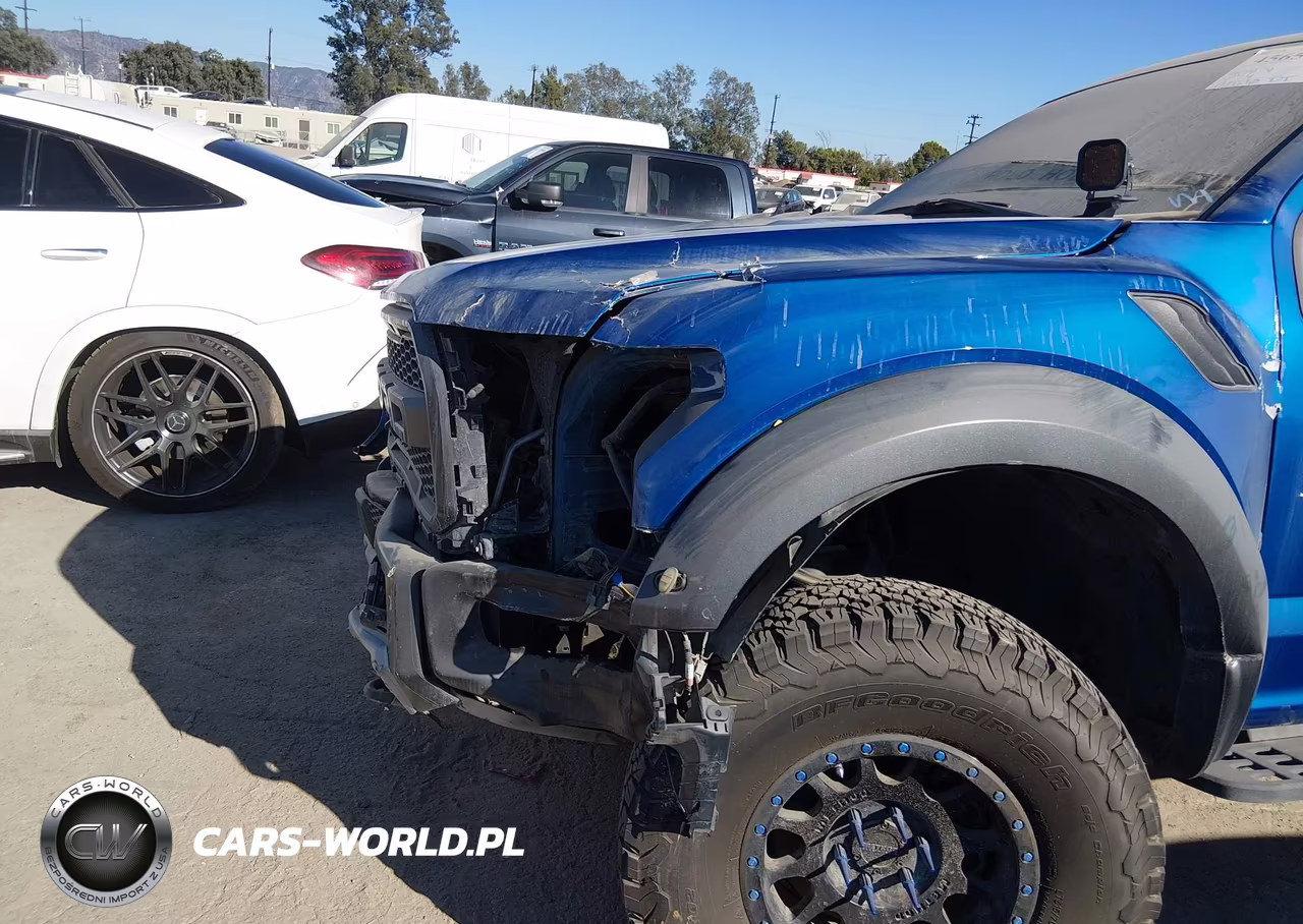 2018 Ford F-150 Raptor VIN:1FTFW1RG8JFD04223 - 6