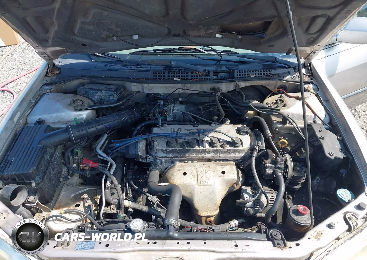1999 Honda Accord Lx VIN:1HGCG5641XA039105 - 10