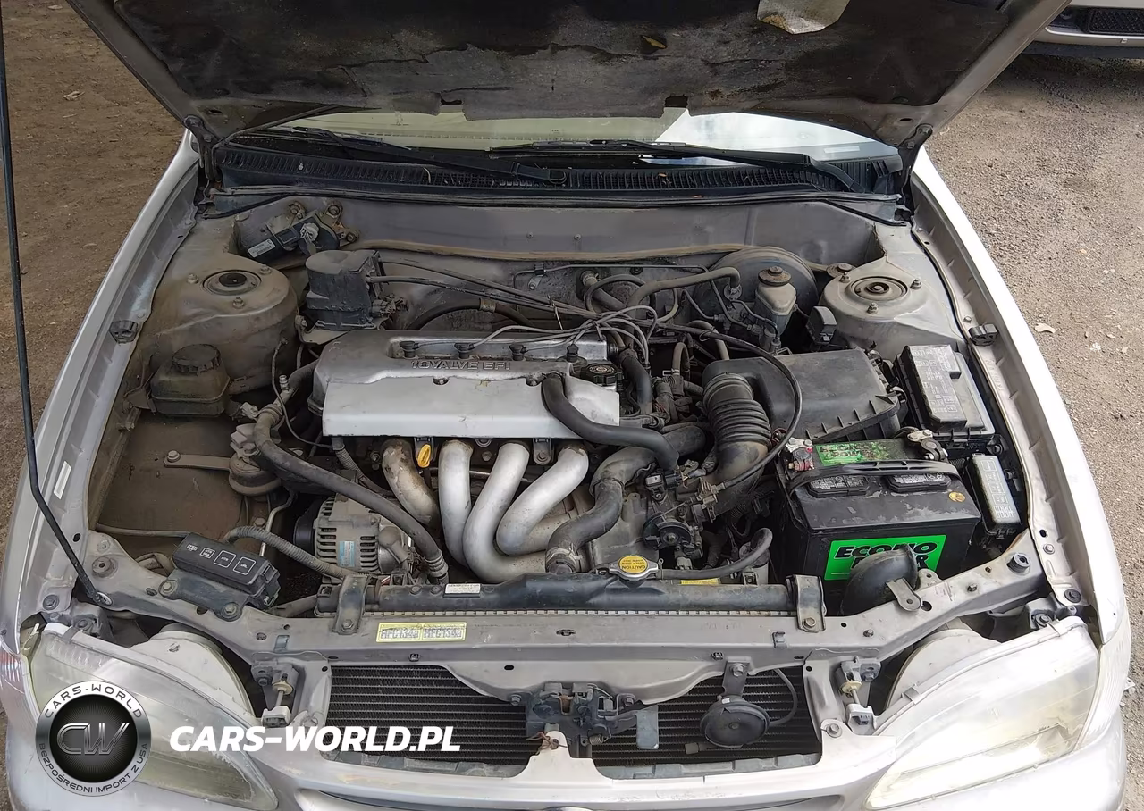 1998 Toyota Corolla Ce VIN:1NXBR12E8WZ124043 - 10