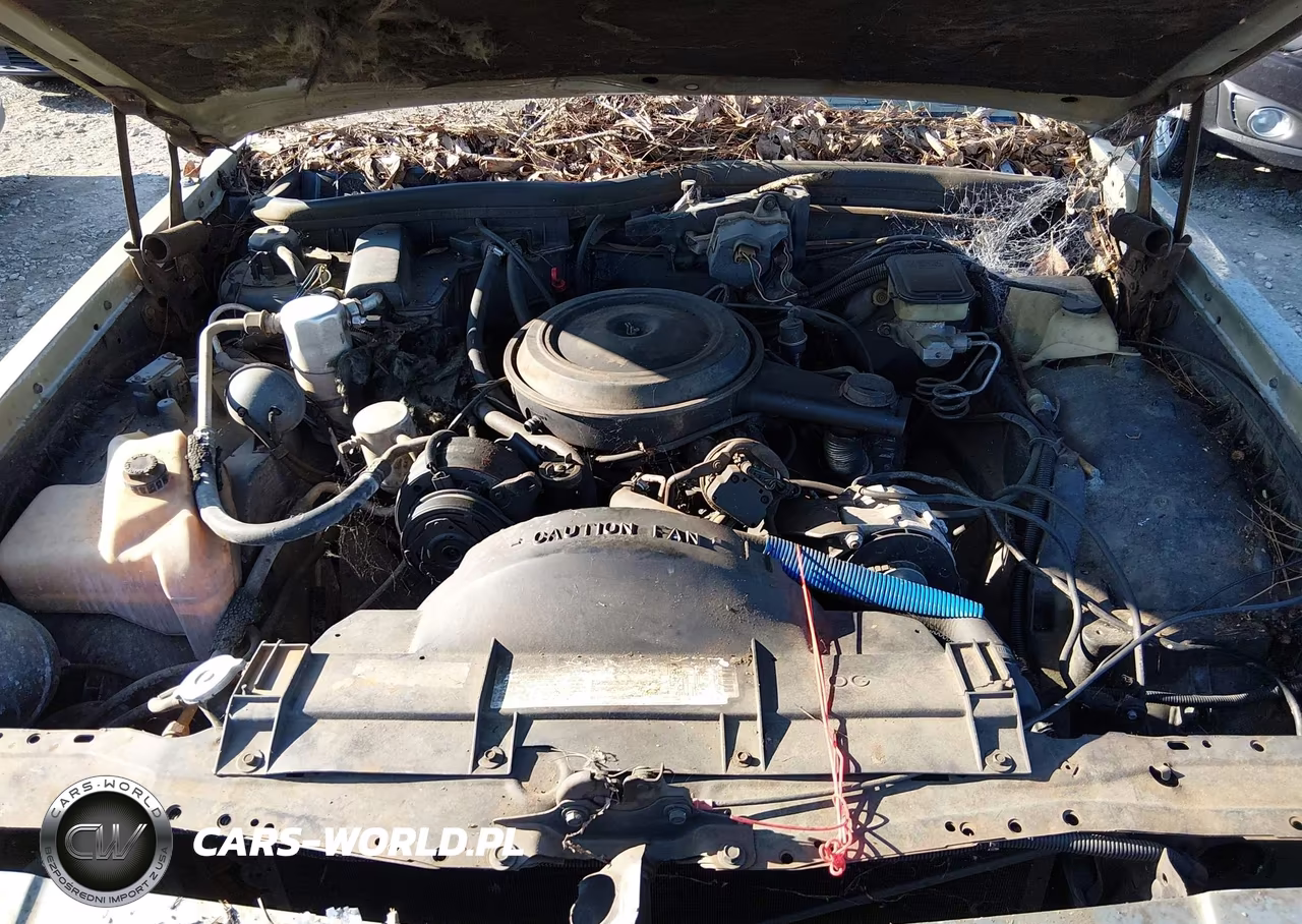 1985 Oldsmobile Delta 88 Royale VIN:1G3BN69Y6FY376685 - 10