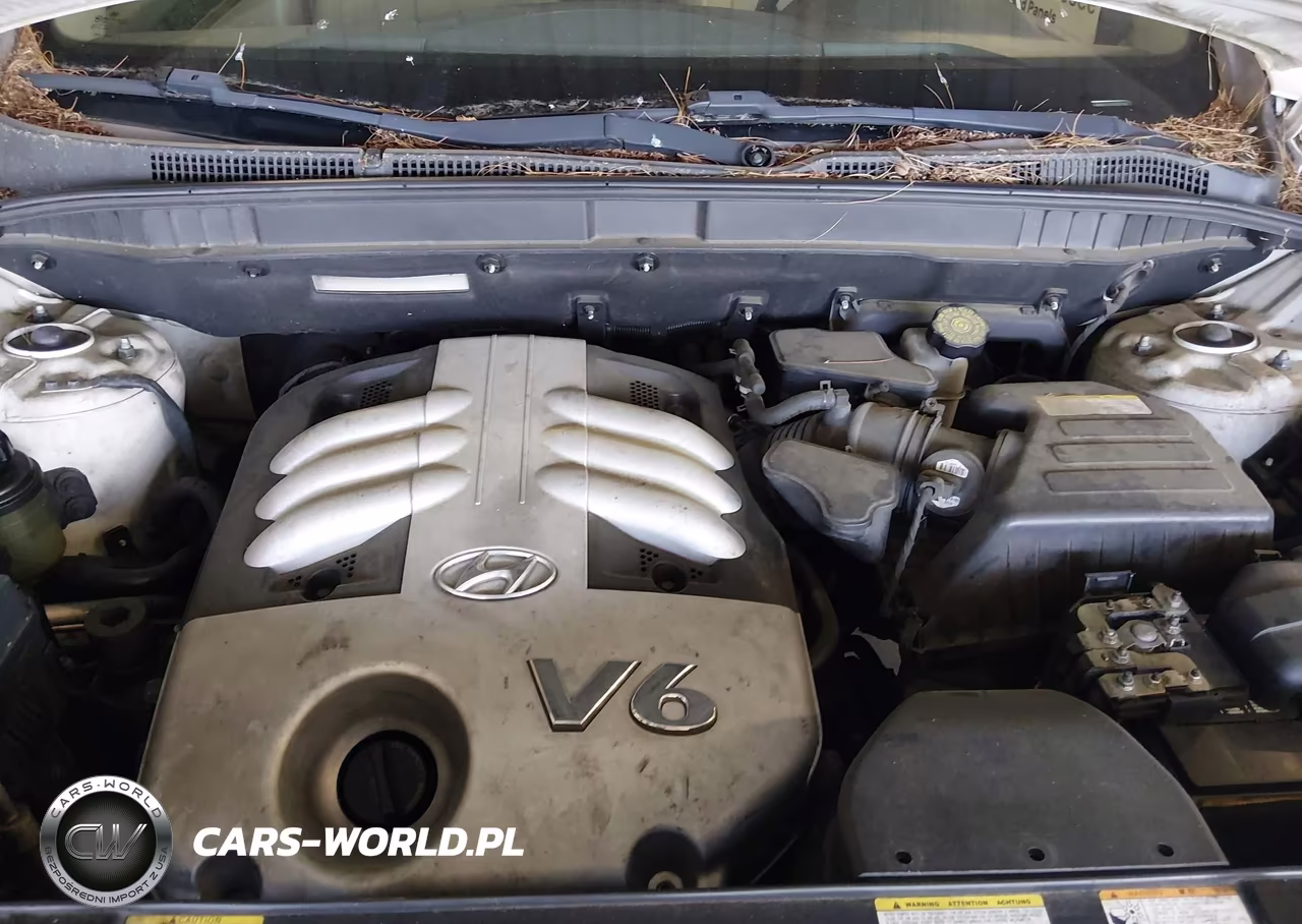 2007 Hyundai Veracruz Gls-Limited-Se VIN:KM8NU13C07U021600 - 10