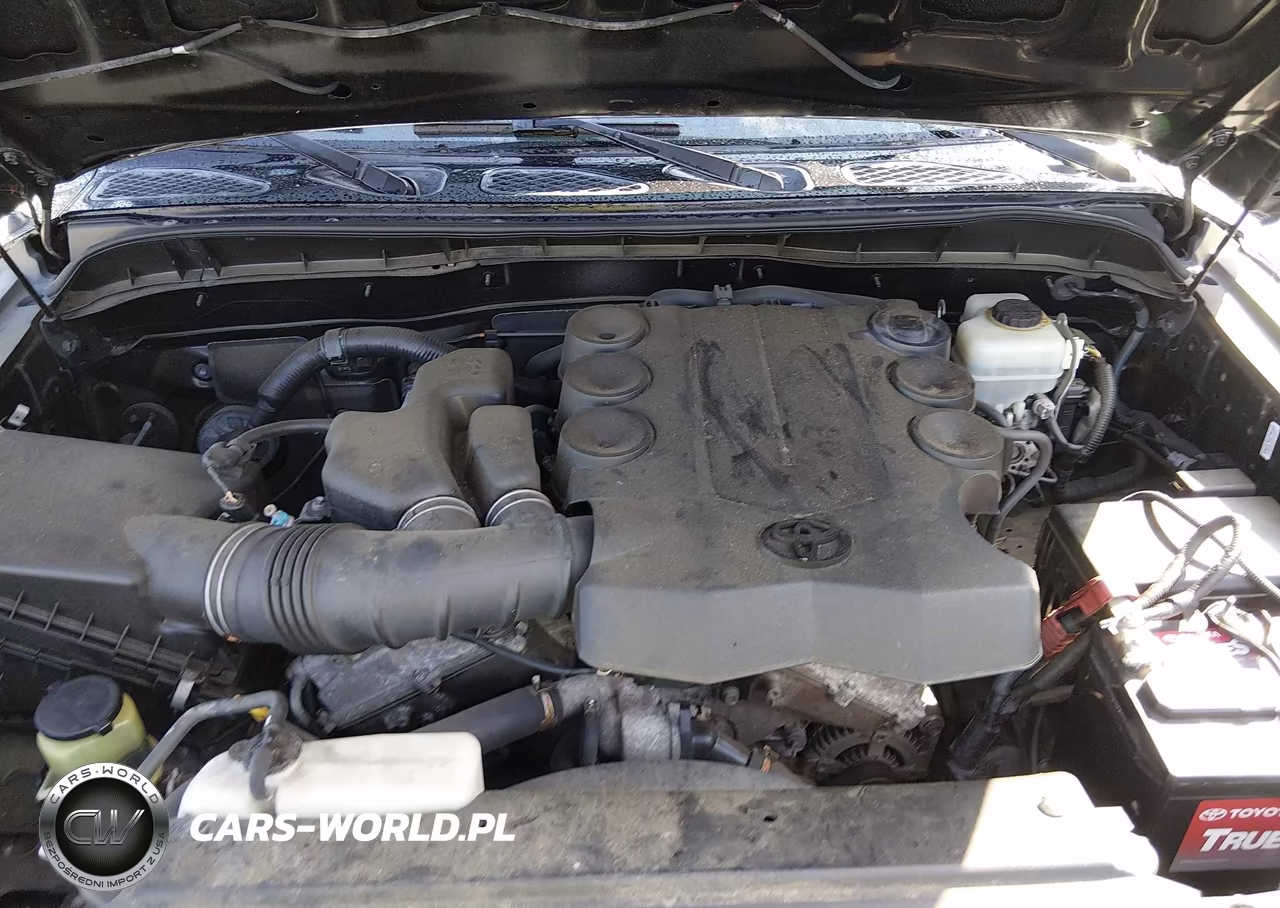 2011 Toyota Fj Cruiser VIN:JTEZU4BFXBK011045 - 10