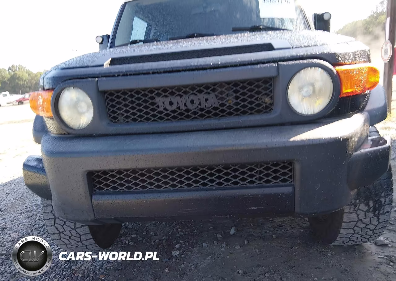 2011 Toyota Fj Cruiser VIN:JTEZU4BFXBK011045 - 6