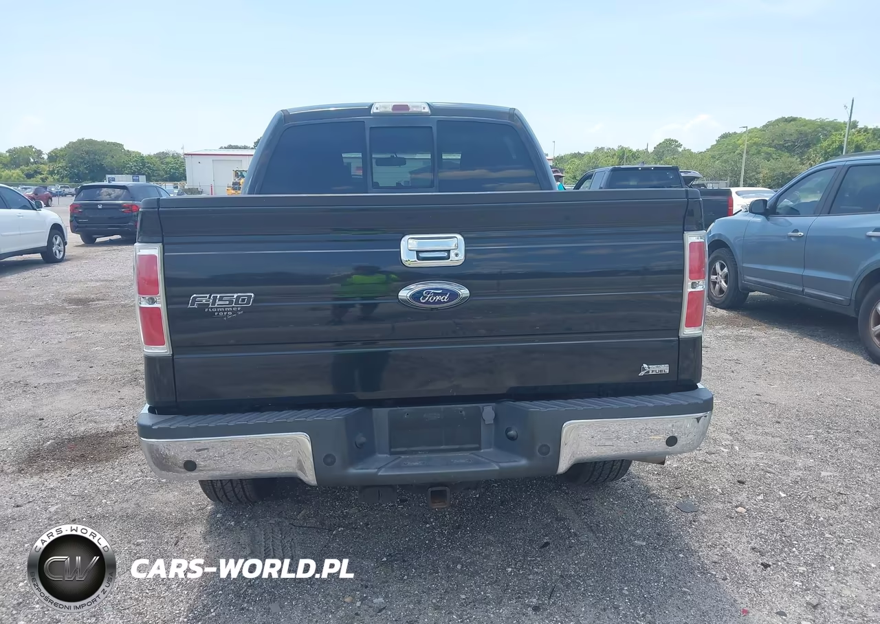 2010 Ford F-150 Fx2 Sport-Harley-Davidson-King Ranch-Lariat-Platinum-Xl-Xlt VIN:1FTFW1CV8AFD23152 - 16