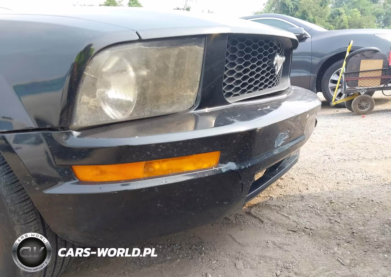 2005 Ford Mustang VIN:1ZVFT84N355225154 - 16