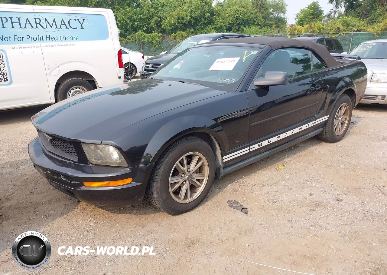 2005 Ford Mustang VIN:1ZVFT84N355225154 - 2