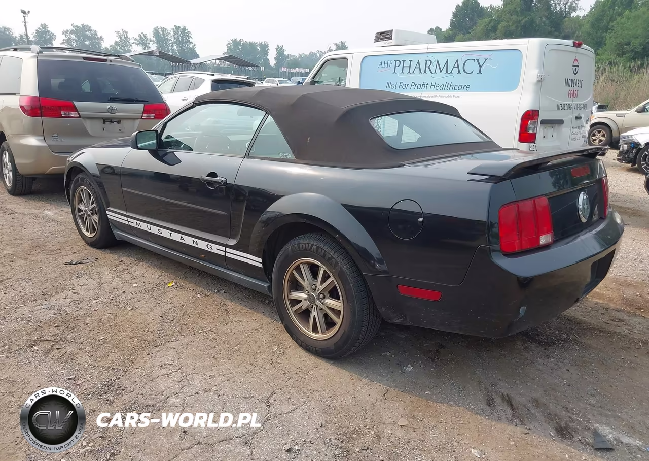 2005 Ford Mustang VIN:1ZVFT84N355225154 - 3