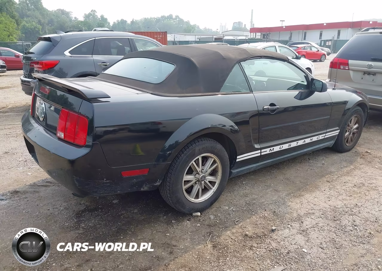 2005 Ford Mustang VIN:1ZVFT84N355225154 - 4