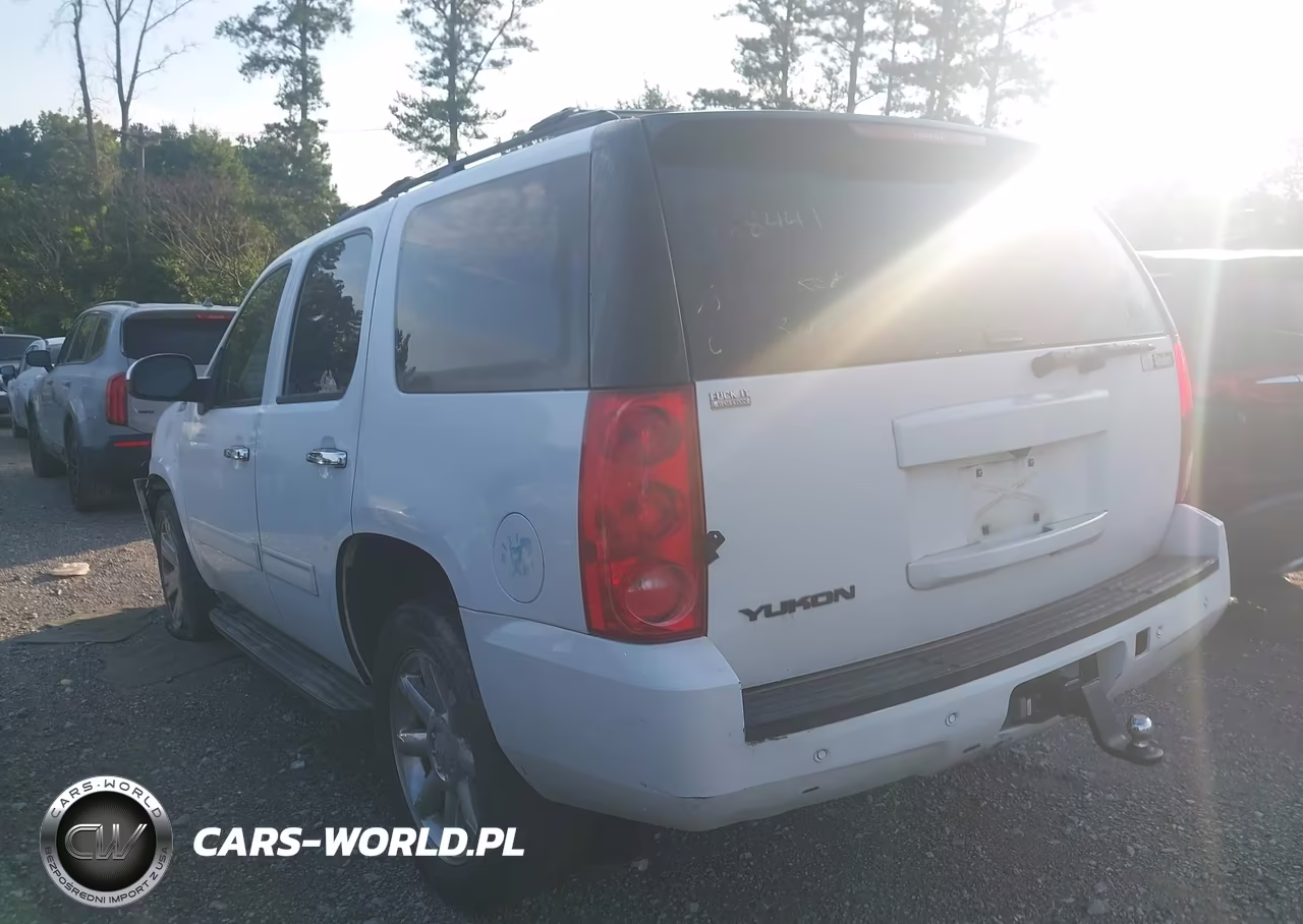 2010 GMC Yukon Slt VIN:1GKUKCE09AR268441 - 3