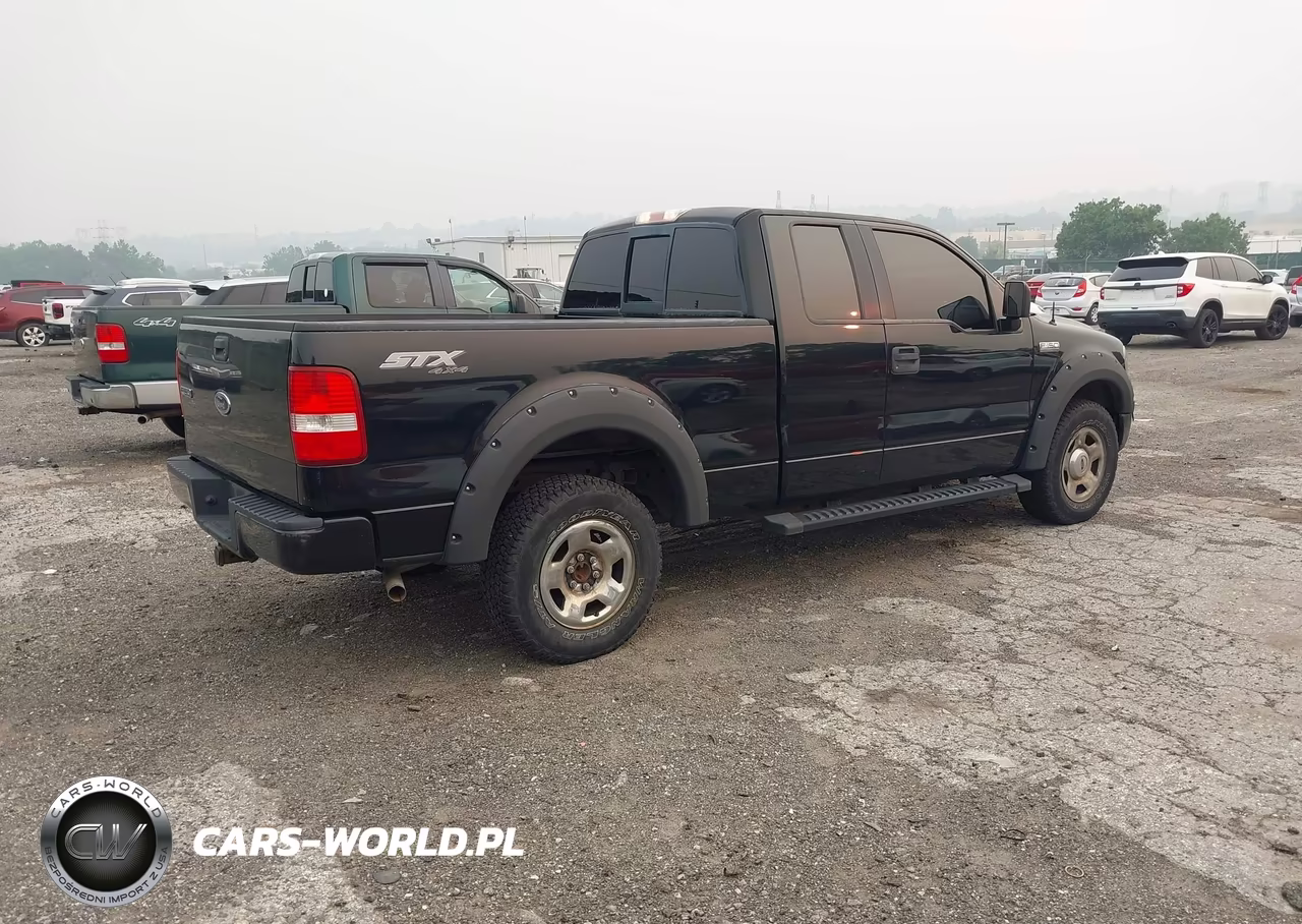 2005 Ford F-150 Stx-Xl-Xlt VIN:1FTRX14W55NB78911 - 4