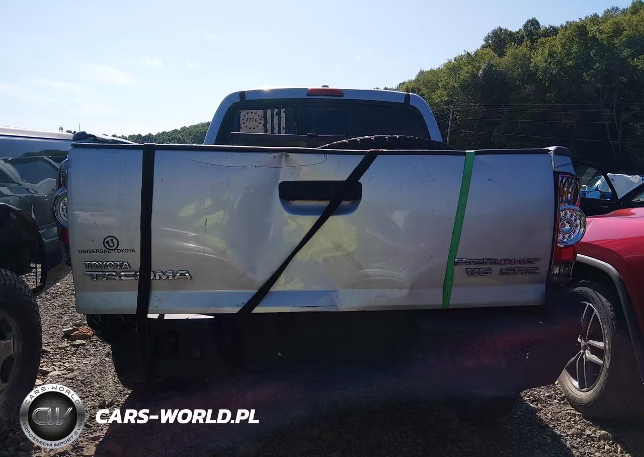 2010 Toyota Tacoma Prerunner V6 VIN:5TEJU4GN2AZ697979 - 17