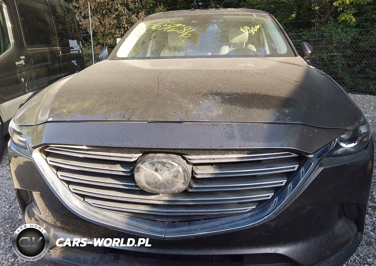 2018 Mazda Cx-9 Touring VIN:JM3TCACY2J0210796 - 12