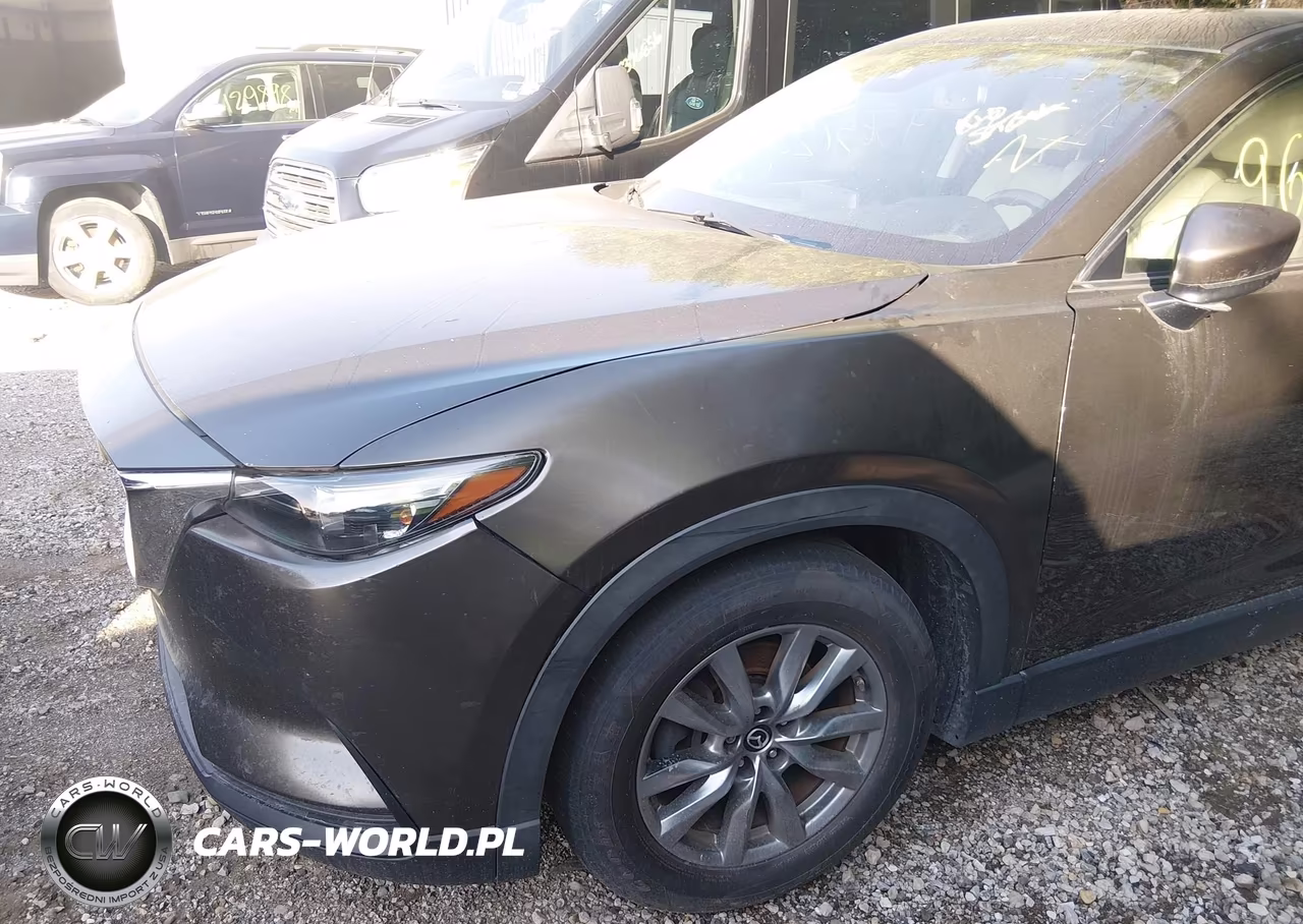 2018 Mazda Cx-9 Touring VIN:JM3TCACY2J0210796 - 6