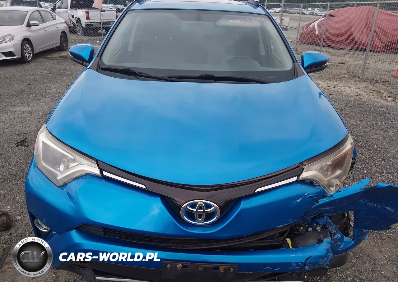 2016 Toyota Rav4 Hybrid Xle VIN:JTMRJREVXGD001172 - 12