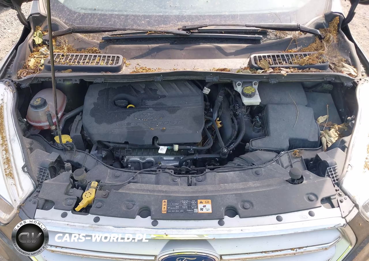 2018 Ford Escape Se VIN:1FMCU0GD2JUA88288 - 10