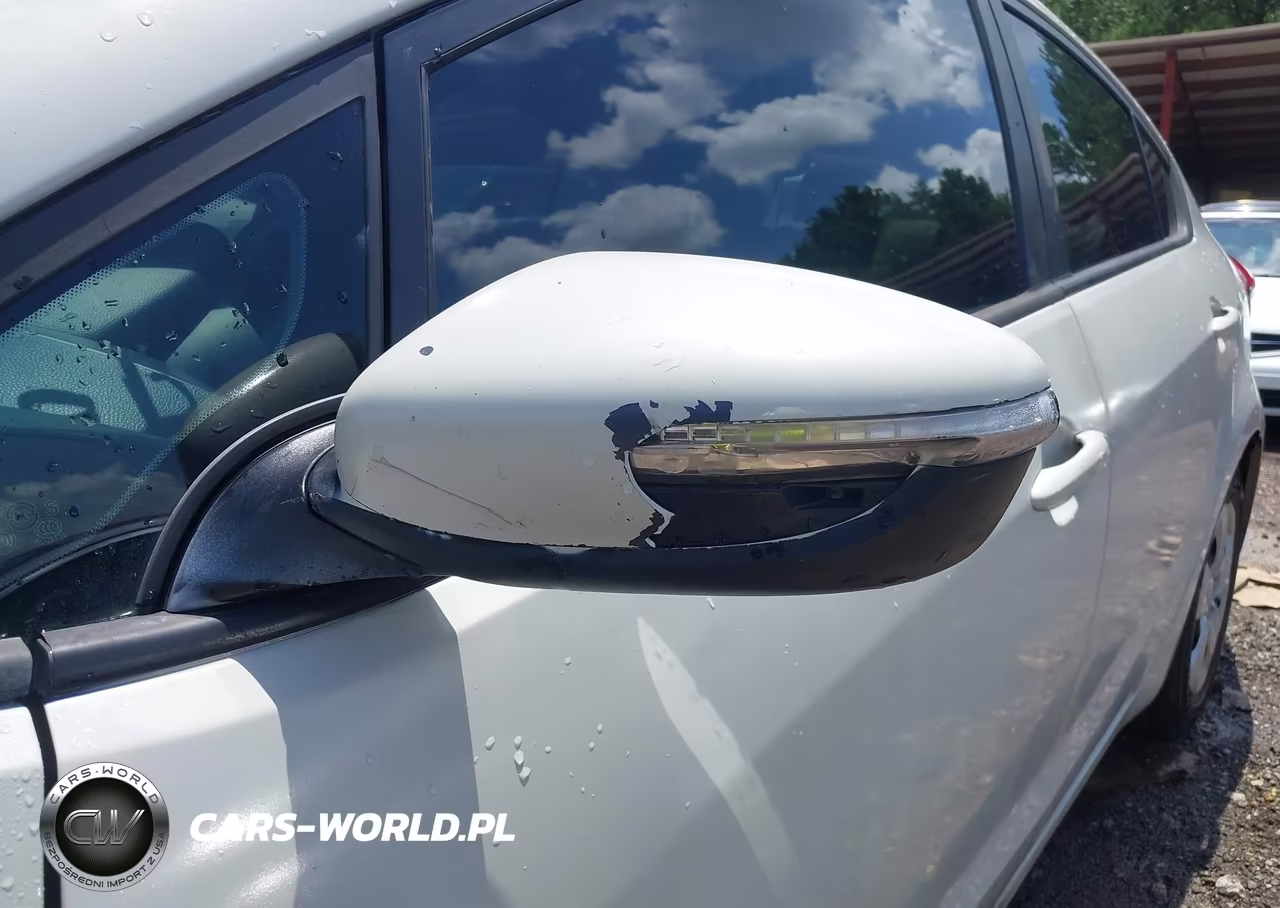 2015 Kia Forte Lx VIN:KNAFK4A62F5308598 - 12