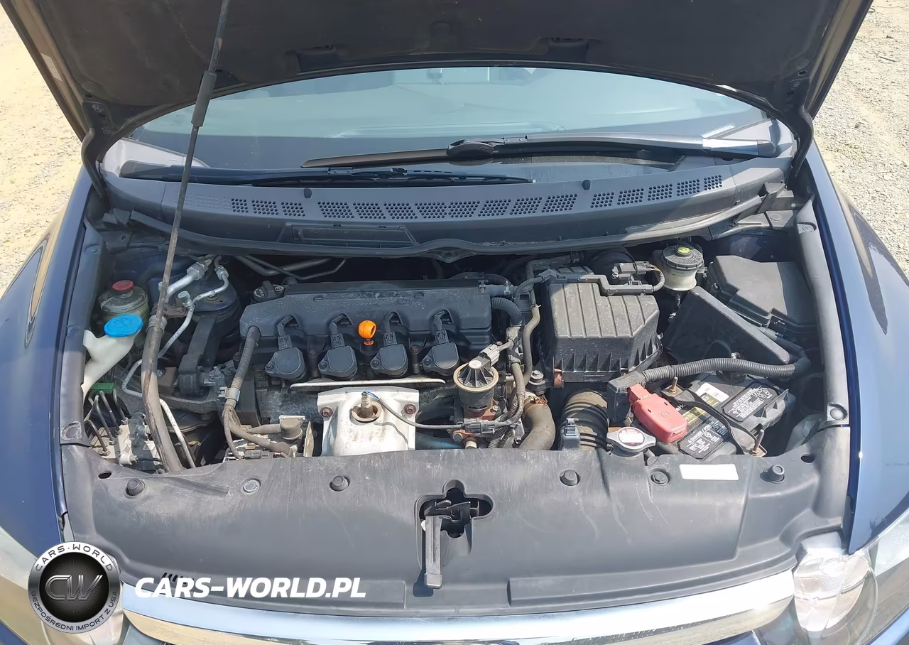 2006 Honda Civic Ex VIN:1HGFA16886L116677 - 10