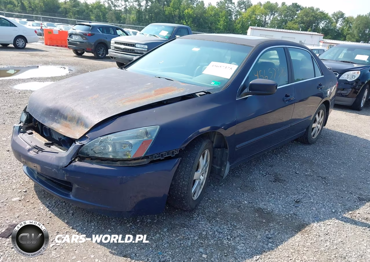 2005 Honda Accord 3.0 Ex VIN:1HGCM66505A021845 - 2