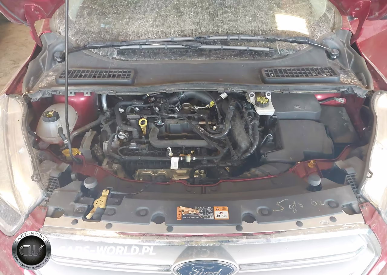 2019 Ford Escape Se VIN:1FMCU0GD2KUA93329 - 10