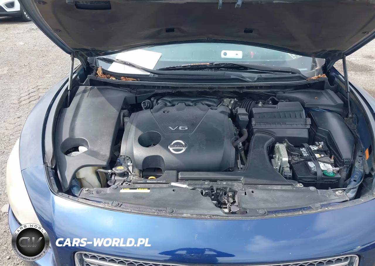 2009 Nissan Maxima 3.5 Sv VIN:1N4AA51E69C851228 - 10