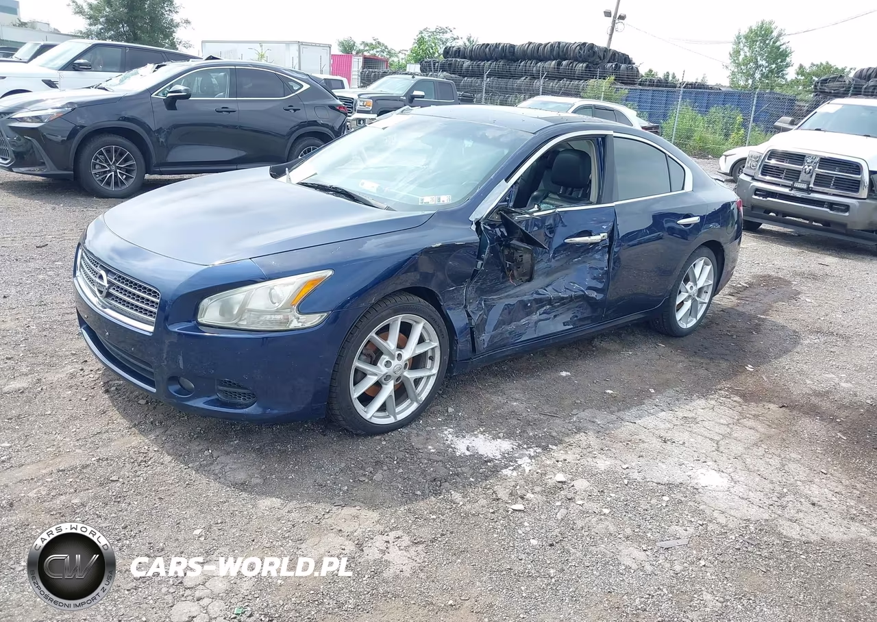 2009 Nissan Maxima 3.5 Sv VIN:1N4AA51E69C851228 - 2