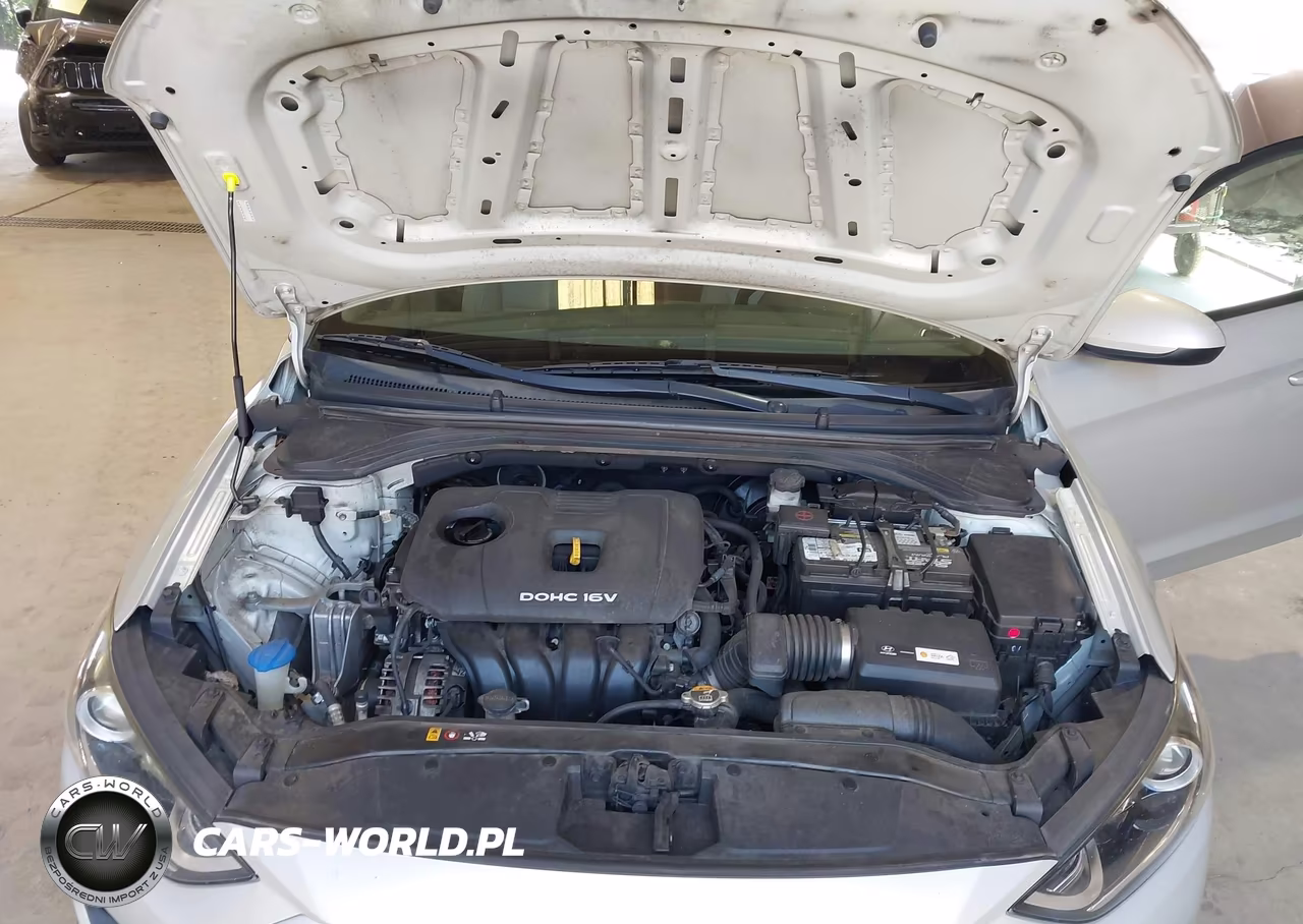 2017 Hyundai Elantra Se VIN:KMHD74LF6HU119210 - 10