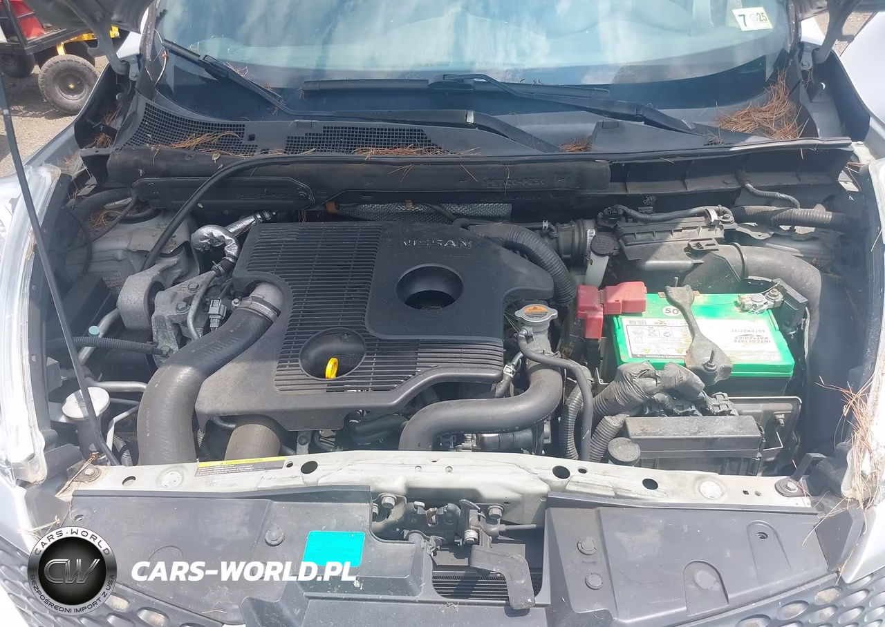 2011 Nissan Juke Sv VIN:JN8AF5MV4BT006959 - 10