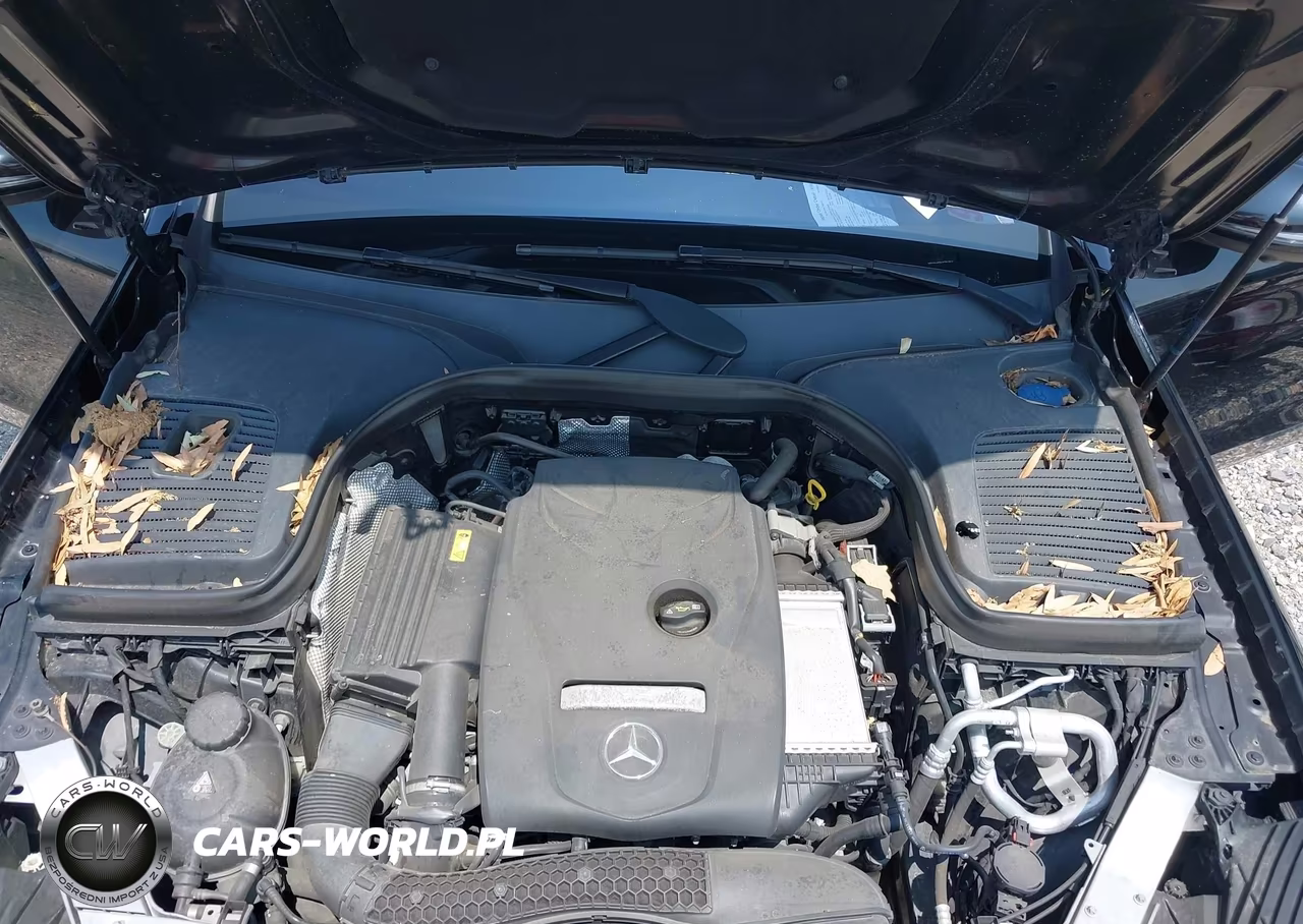 2018 Mercedes-Benz Glc 300 Coupe 4Matic VIN:WDC0J4KB6JF391814 - 10