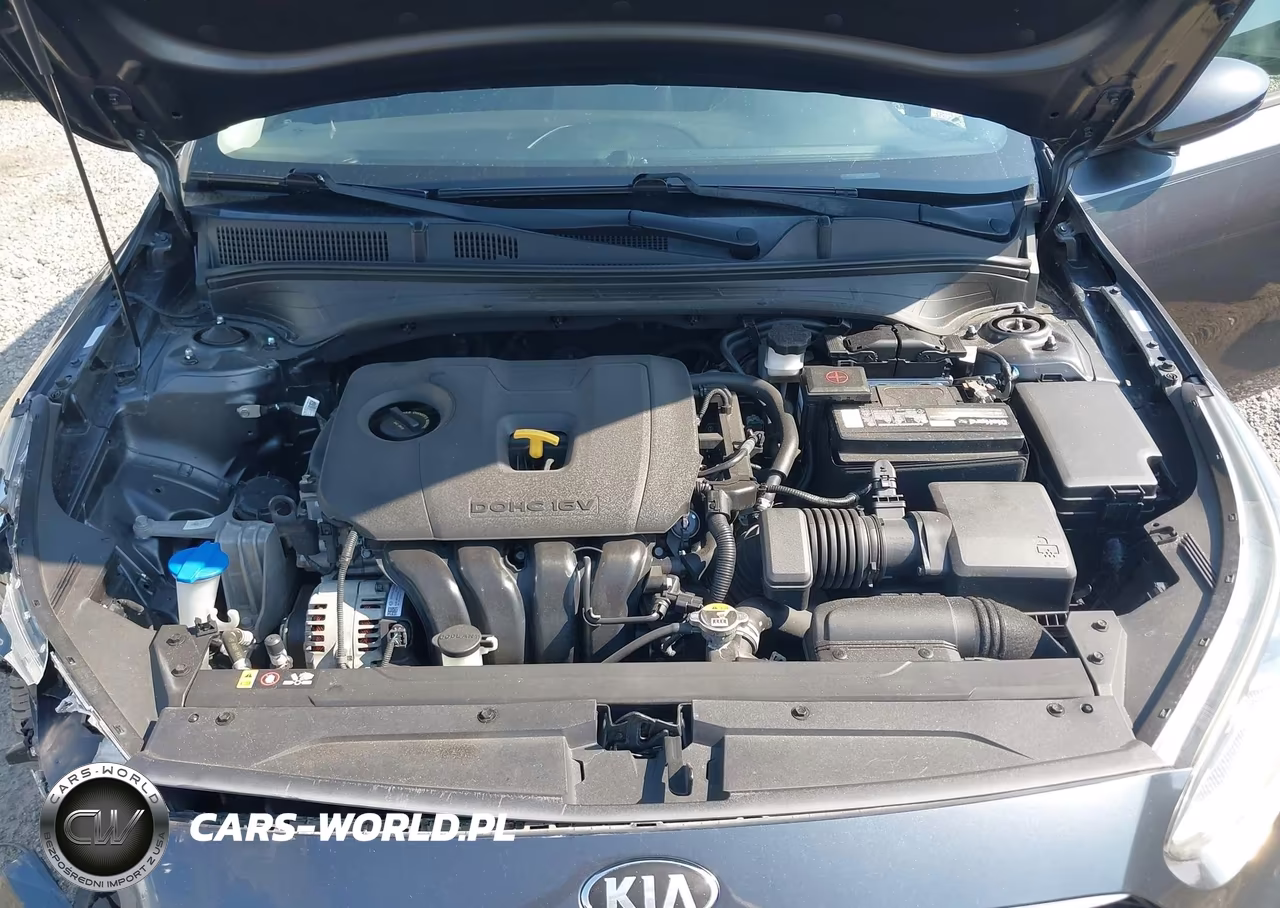 2019 Kia Forte Lxs VIN:3KPF24AD6KE059142 - 10