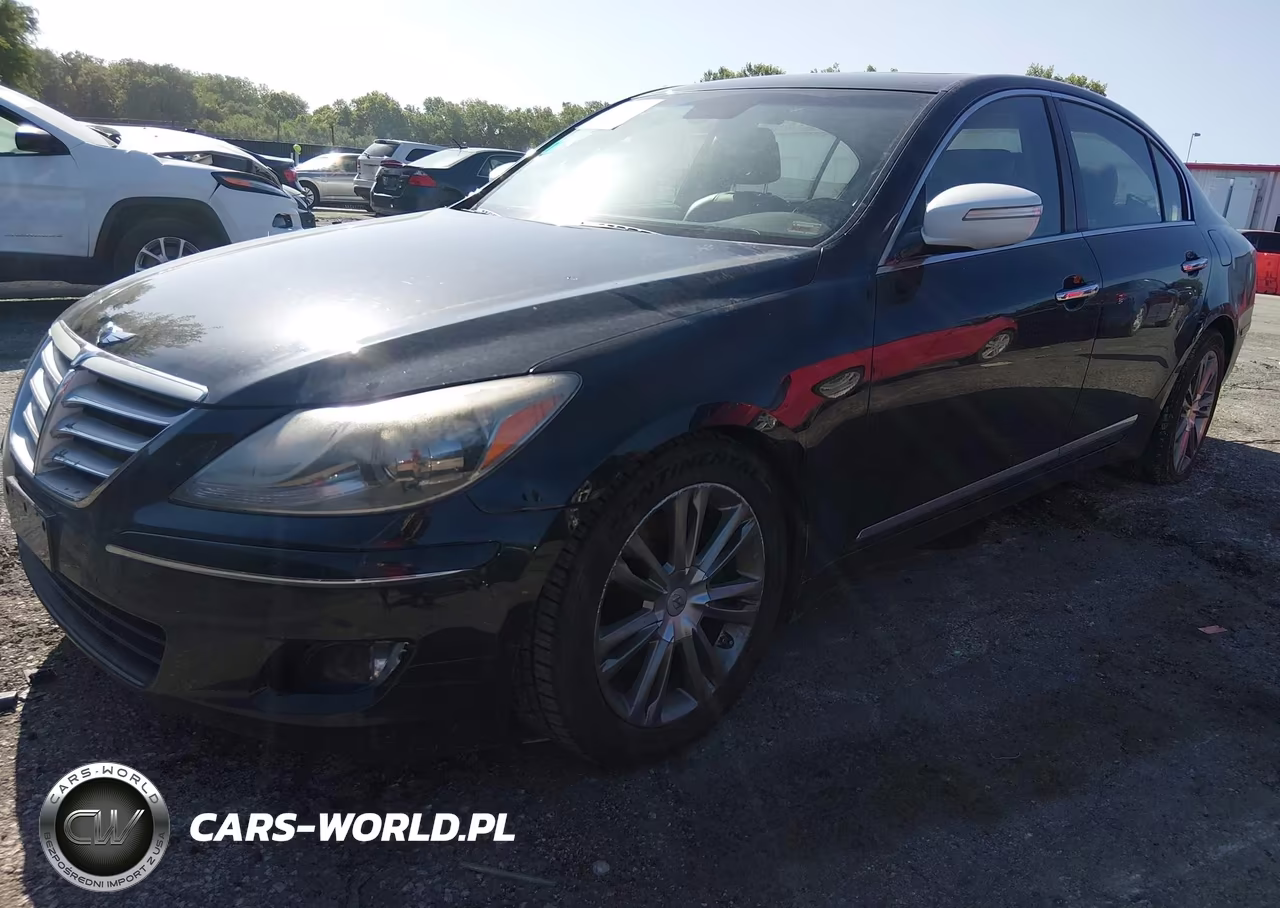 2009 Hyundai Genesis 4.6 VIN:KMHGC46F69U041579 - 2