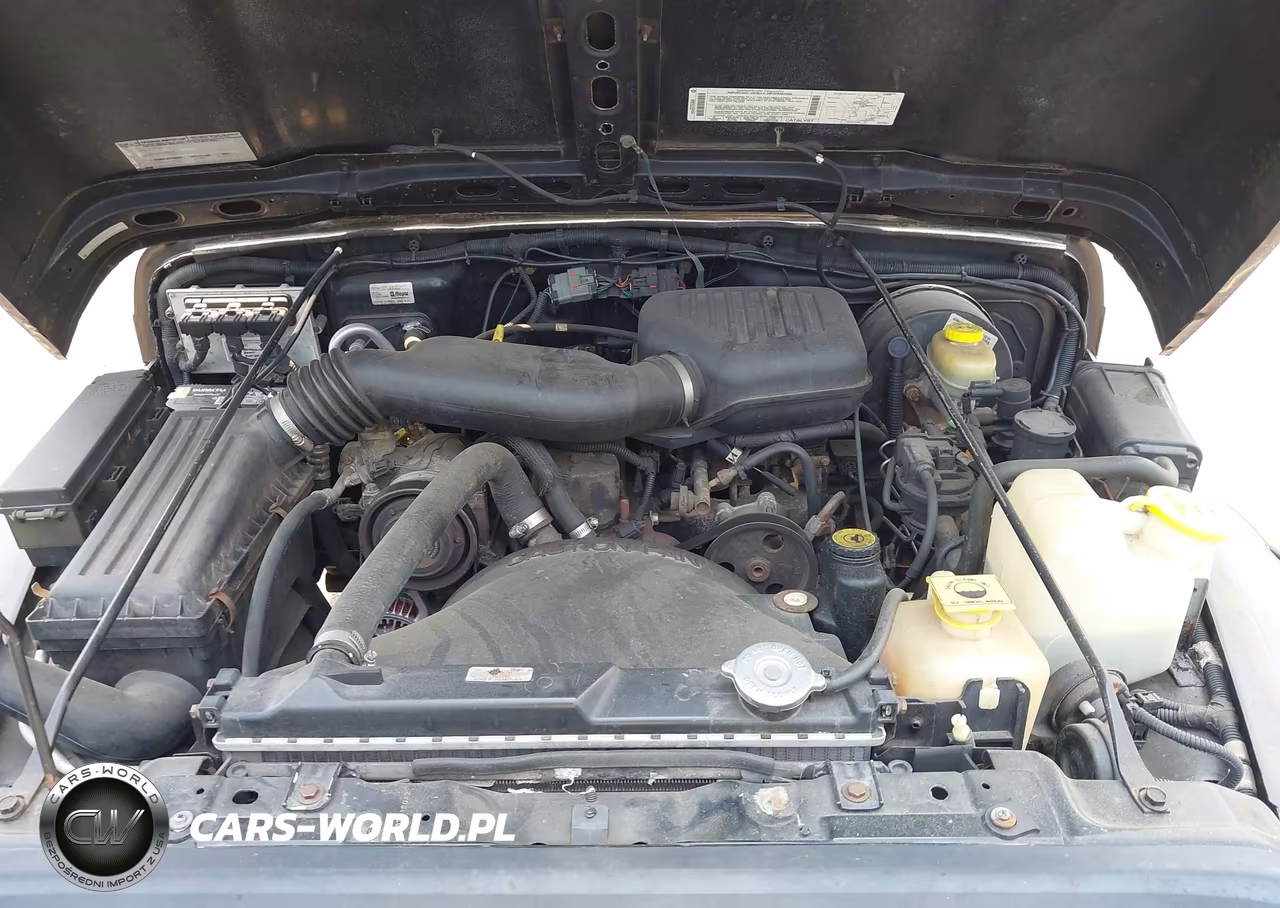 2000 Jeep Wrangler Se VIN:1J4FA29P8YP710246 - 10