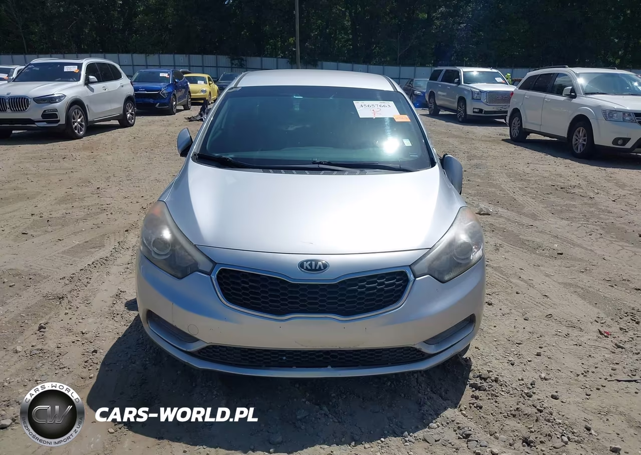 2014 Kia Forte Lx VIN:KNAFK4A61E5189523 - 13