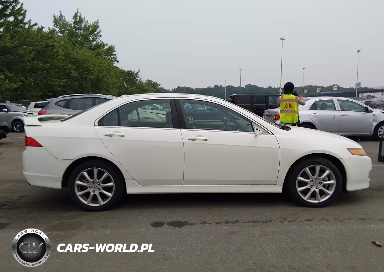 2006 Acura Tsx VIN:JH4CL96896C036622 - 13