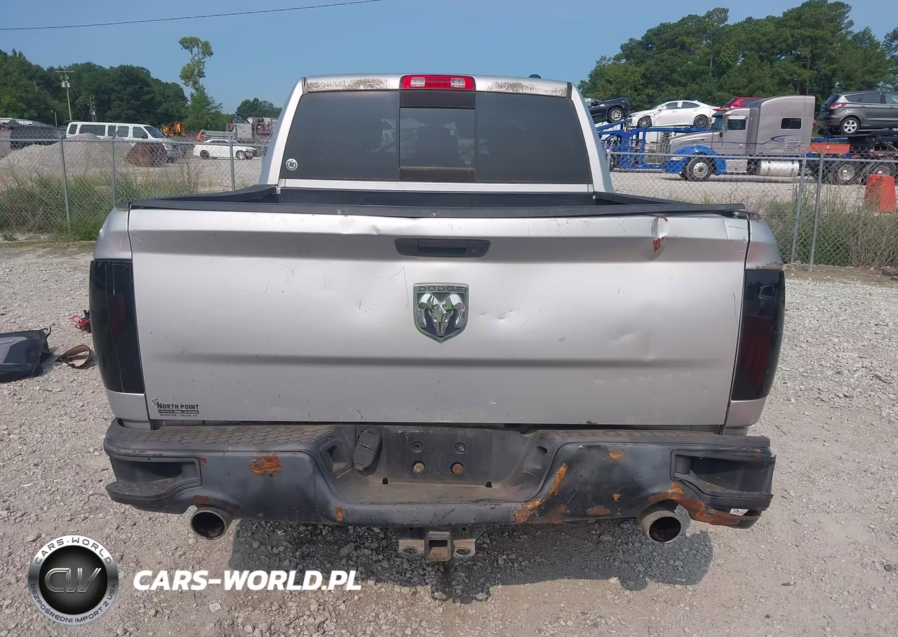 2010 Dodge Ram 1500 Slt-Sport-Trx VIN:1D7RB1CT4AS121414 - 16
