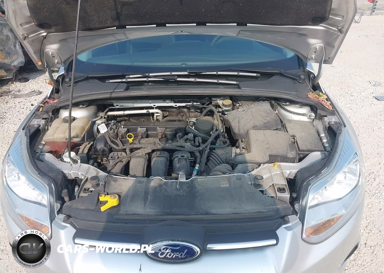 2014 Ford Focus Se VIN:1FADP3K26EL181419 - 10