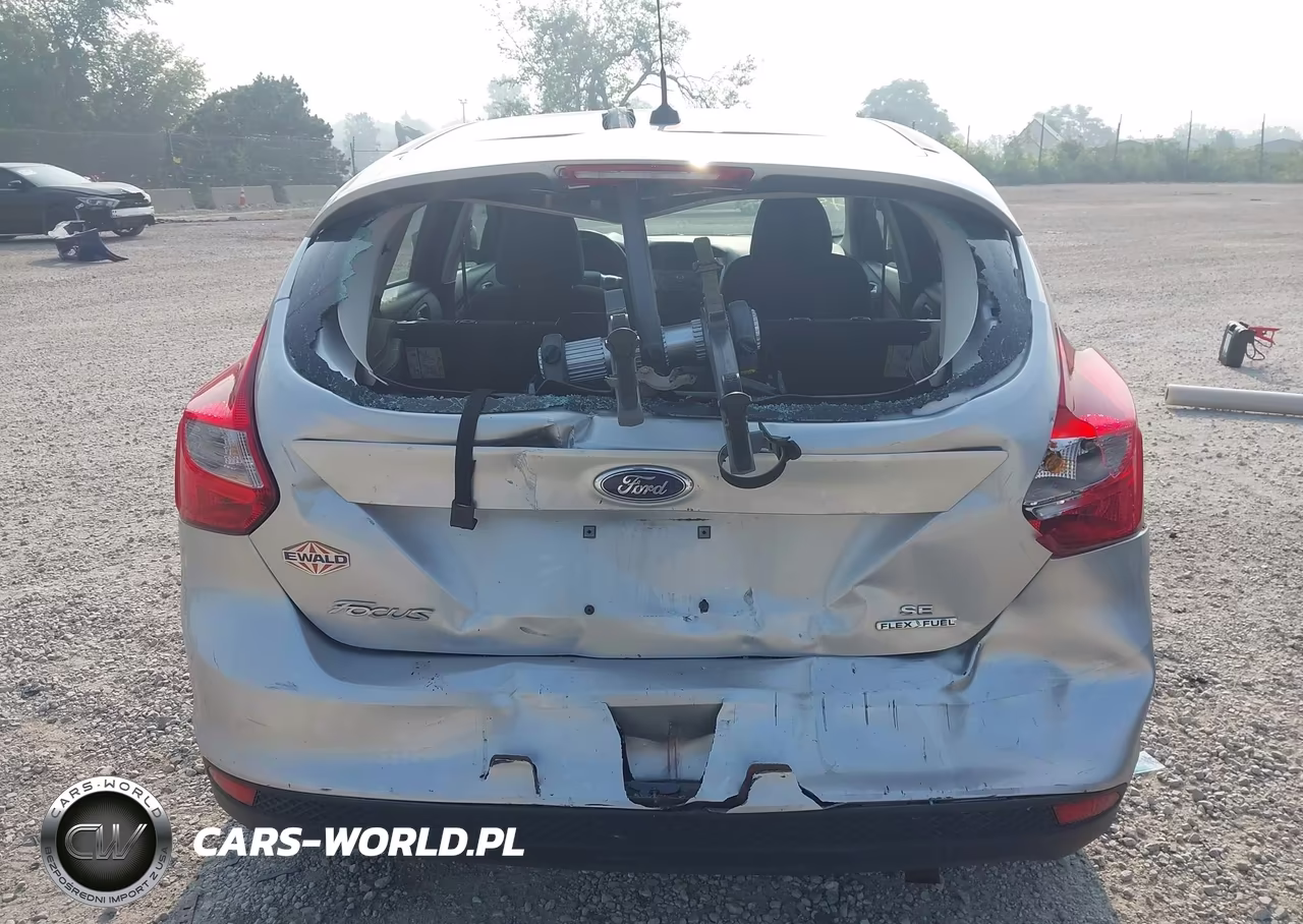 2014 Ford Focus Se VIN:1FADP3K26EL181419 - 16