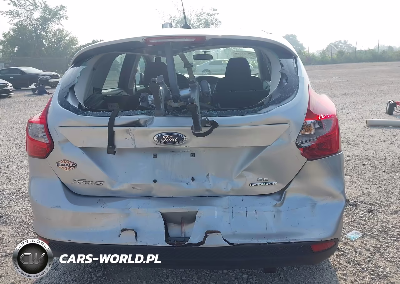 2014 Ford Focus Se VIN:1FADP3K26EL181419 - 6