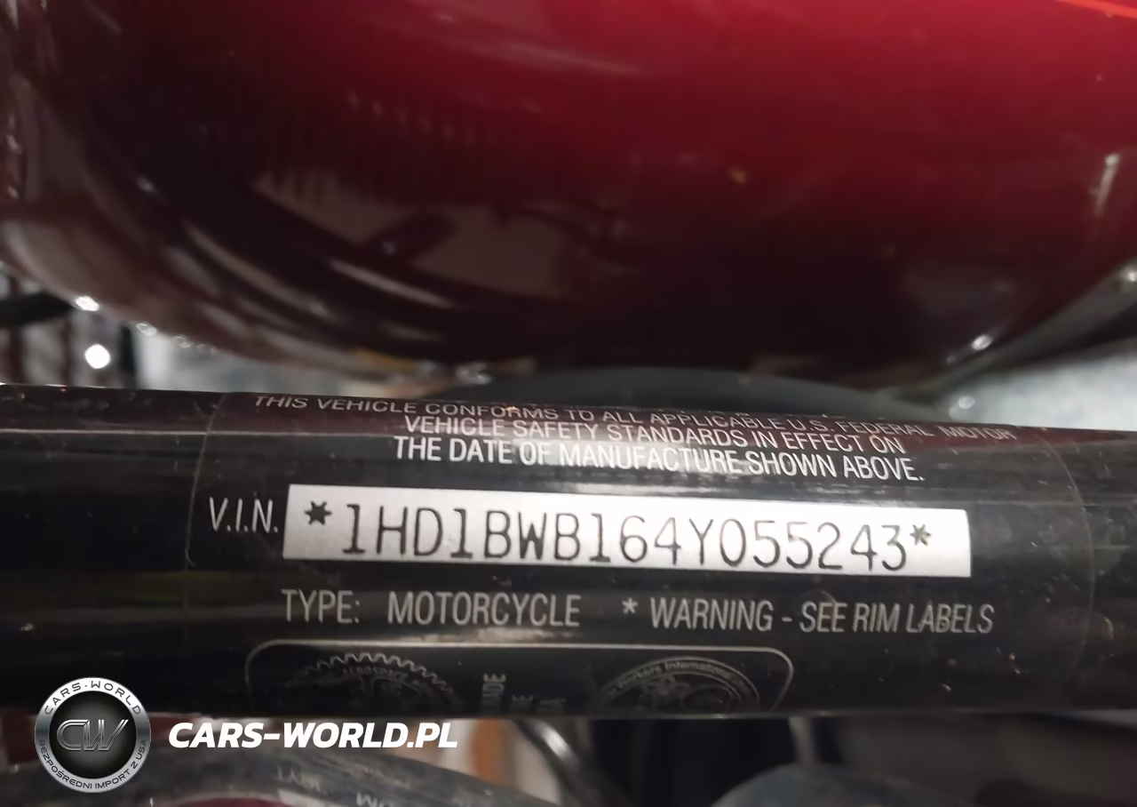 2004 Harley-Davidson Flstci VIN:1HD1BWB164Y055243 - 10