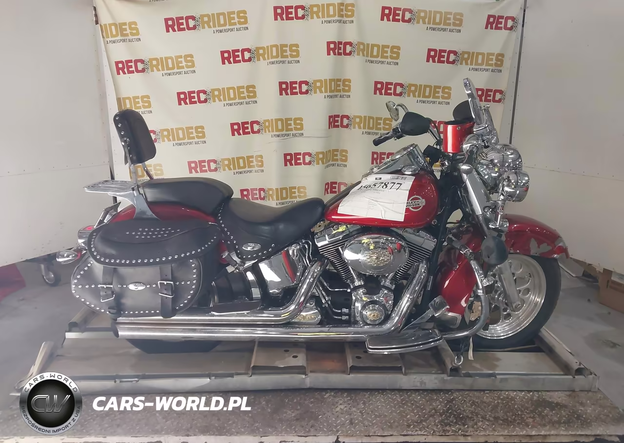 2004 Harley-Davidson Flstci VIN:1HD1BWB164Y055243 - 12