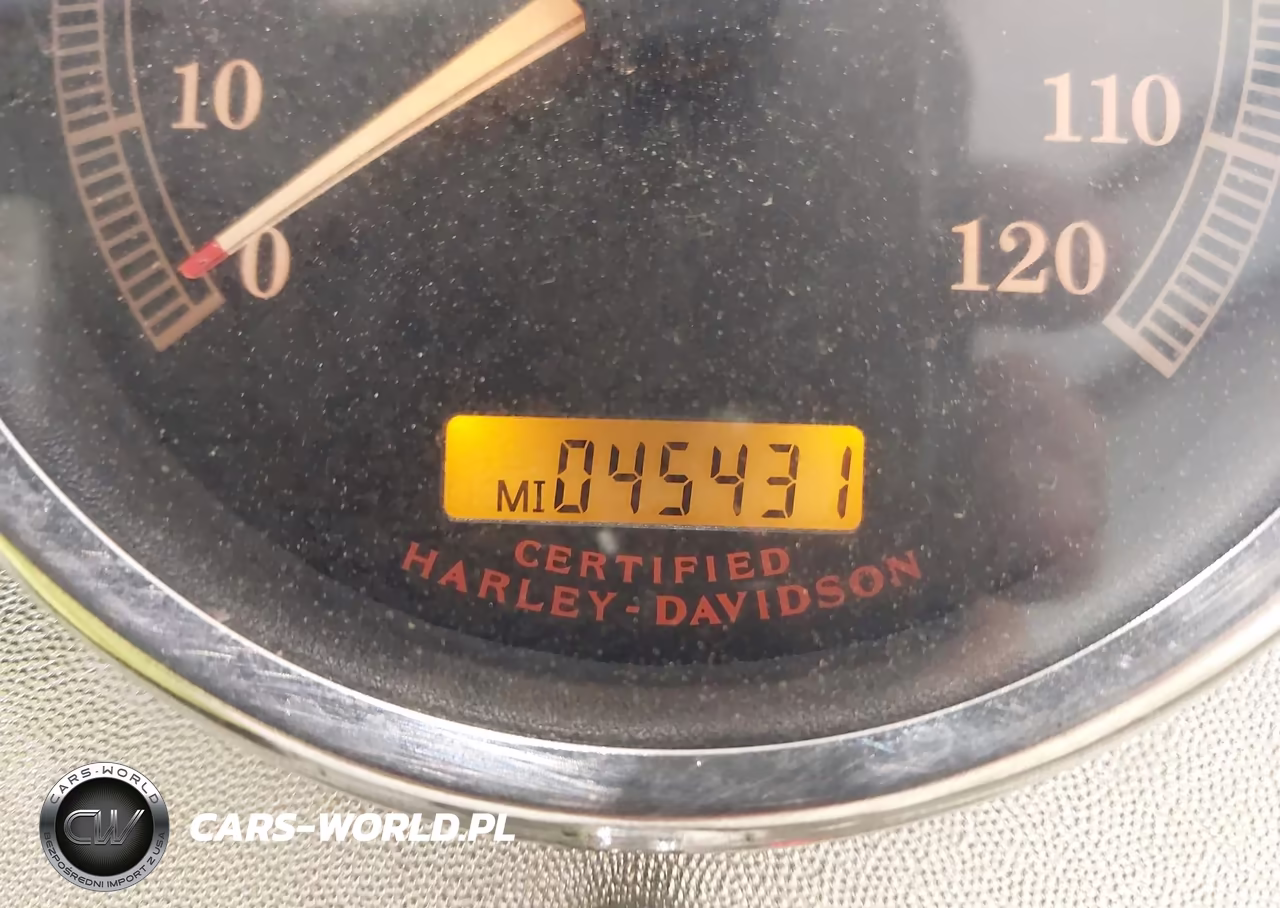 2004 Harley-Davidson Flstci VIN:1HD1BWB164Y055243 - 7