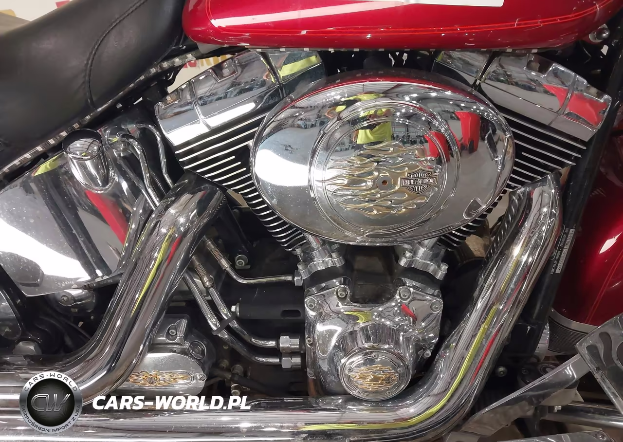 2004 Harley-Davidson Flstci VIN:1HD1BWB164Y055243 - 8