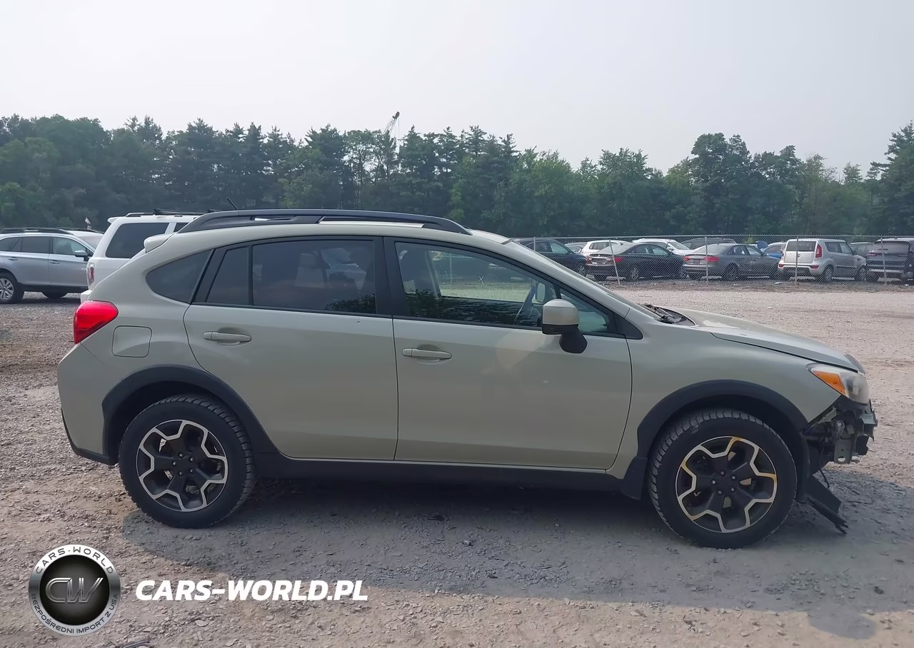 2014 Subaru Xv Crosstrek 2.0I Premium VIN:JF2GPAVC1E8244866 - 13
